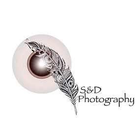 Stefan Van den Broek Profile picture