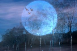 Nachtflug von Vera Laake