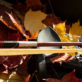 Detail of a violin by Stefanie Keller