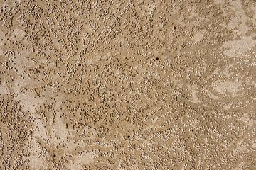 Balls of sand on a beach