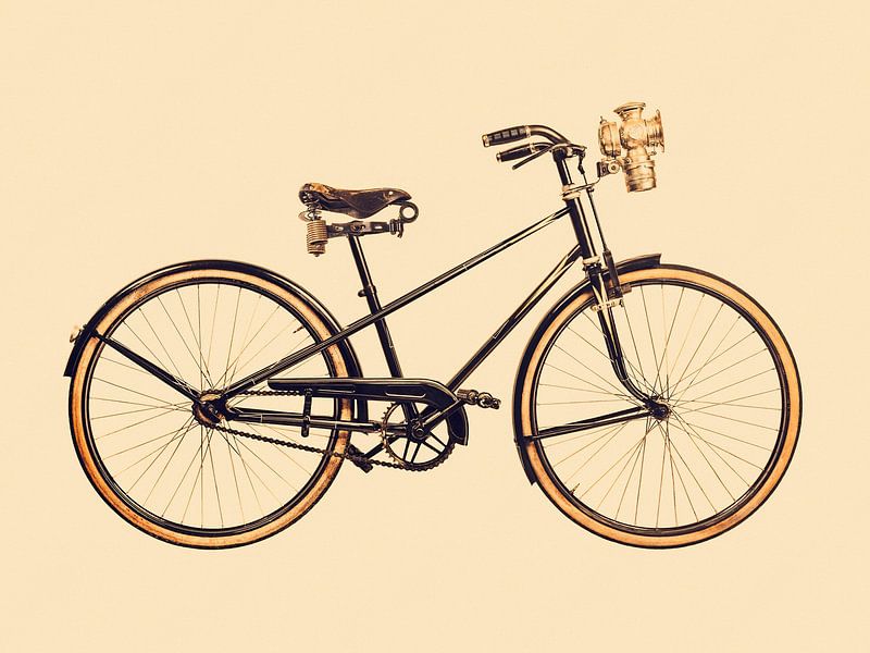 De oude Damesfiets van Martin Bergsma