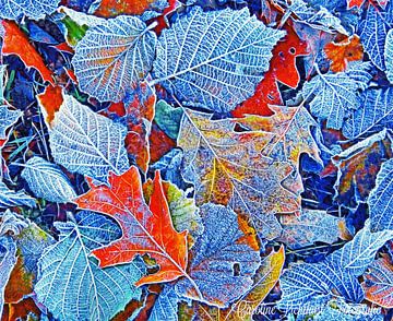 Denim Leaves (Bevroren Bladeren in Blauw) van Caroline Lichthart