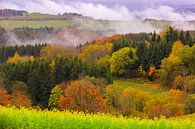 Herfst in de Hotzenwald van Patrick Lohmüller thumbnail