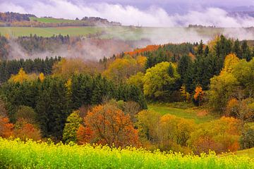 Herbst im Hotzenwald von Patrick Lohmüller