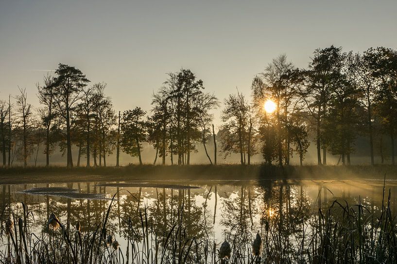 Evening atmosphere by Marianne van der Westen