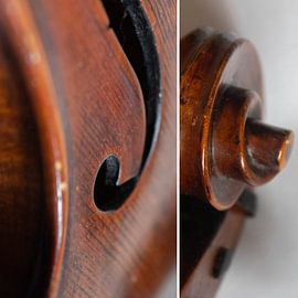 Violon Combi 02 | Image sur Yvonne Warmerdam | Made to resonate