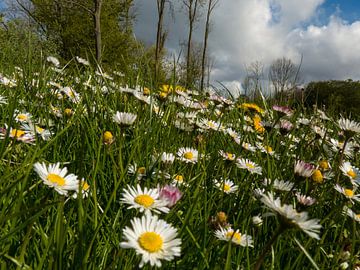 Bloemenwei met naderend onweer von Anneriek de Jong