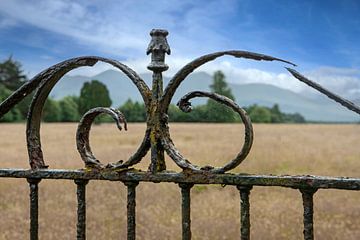 Old rusty ornamental wrought iron fencing at grain field in Ireland by Albert Brunsting