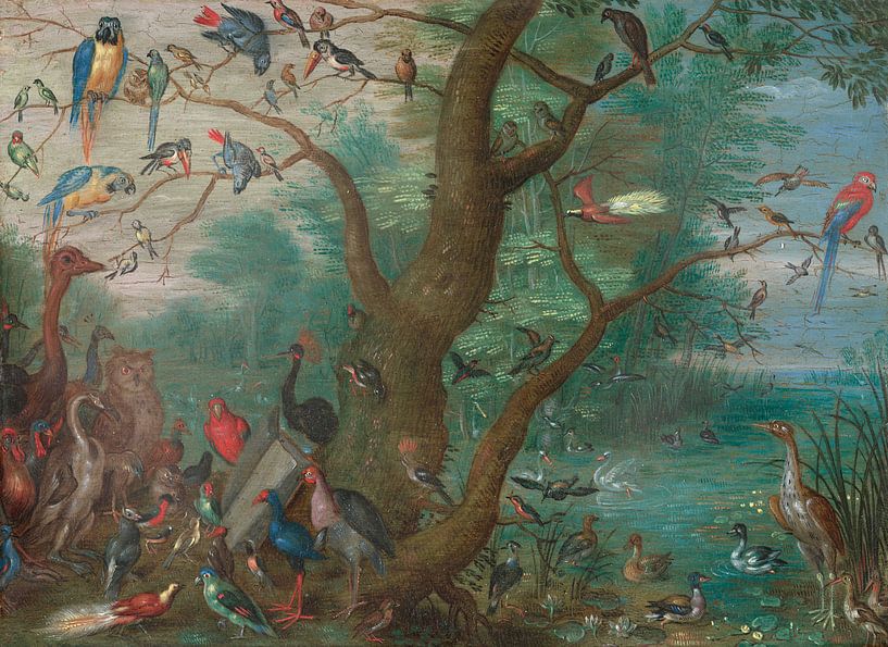 Concert of Birds, Jan van Kessel by Masterful Masters