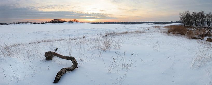 Panorama Besneeuwde Drunense Duinen by Leo van Valkenburg