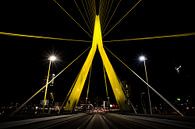 Pont Erasmus, Rotterdam par Martijn Smeets Aperçu