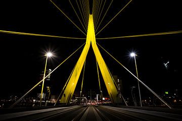 Pont Erasmus, Rotterdam sur Martijn Smeets