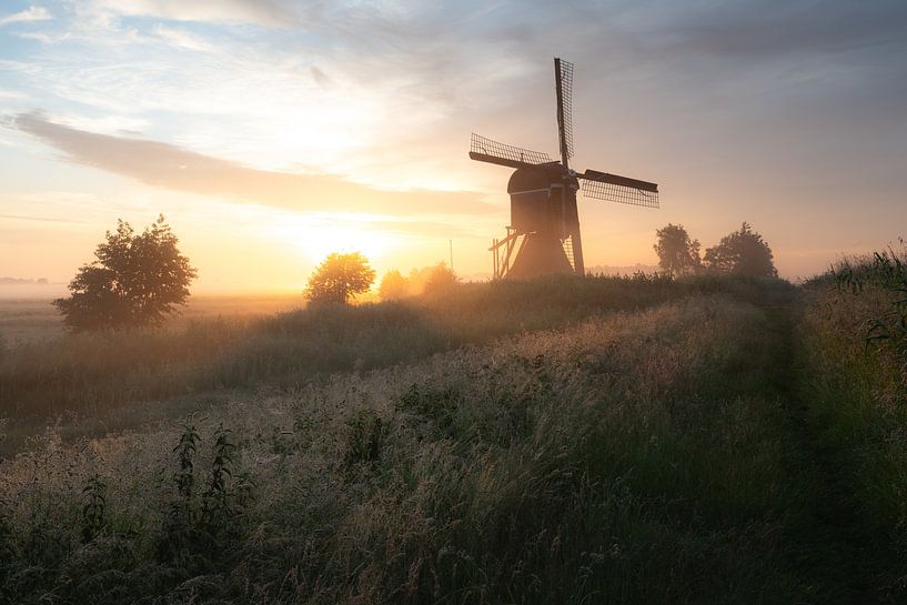 Niederländische Landschaft im weichen Morgenlicht von Stephanvtz fotografie