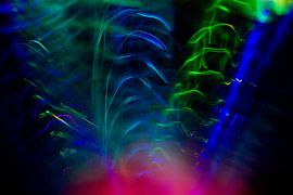 Feuerwerk von Cindy Mulder