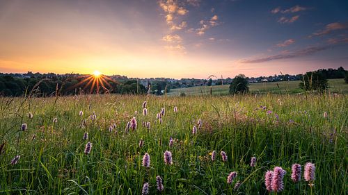 Si belles les prairies autour de Clausthal Zellerfeld