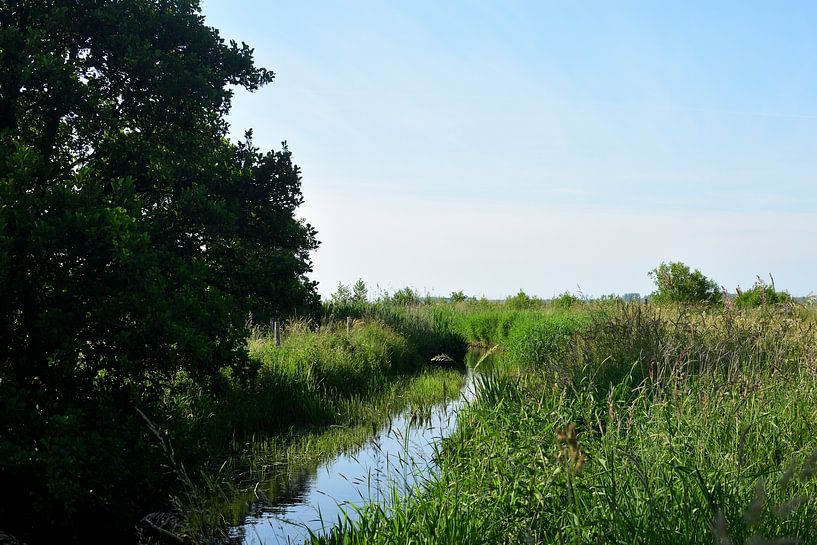 Een beek door een zomers landschap van Gerard de Zwaan