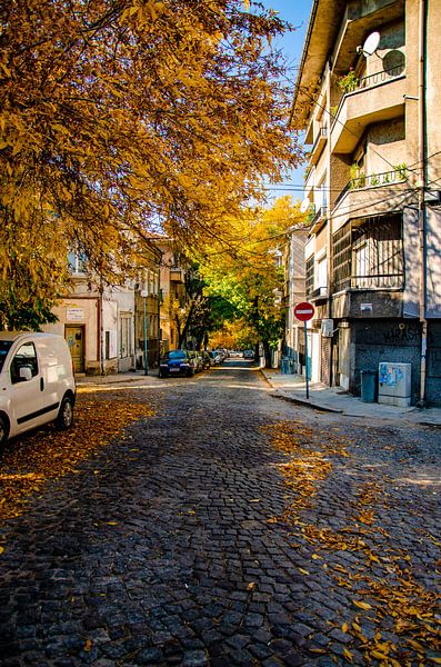 Autumn in Plovdiv. by Nicolas Deman