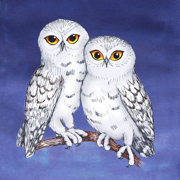 Two snowy owls by Bianca Wisseloo