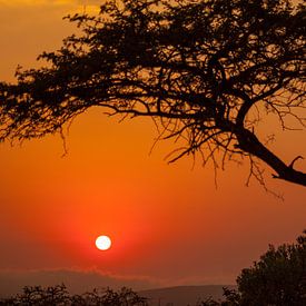 Prachtige zonsopkomst in Zuid-Afrika van Kim Paffen