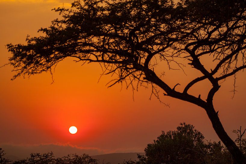 Prachtige zonsopkomst in Zuid-Afrika van Kim Paffen