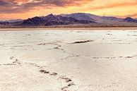 Salt lake in the sheephole valley wilderness mojave desert in California USA by Dieter Walther thumbnail