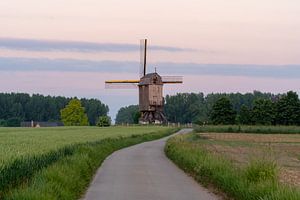Un moulin à vent le matin