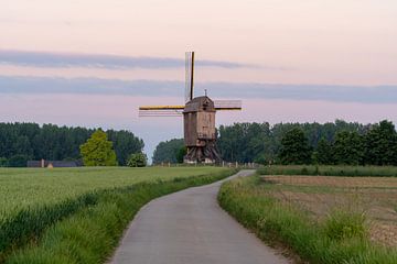 Eine Windmühle am Morgen von Marcel Derweduwen