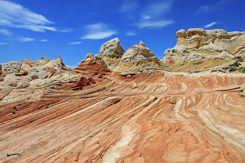 Weiße Tasche in Arizona von Antwan Janssen