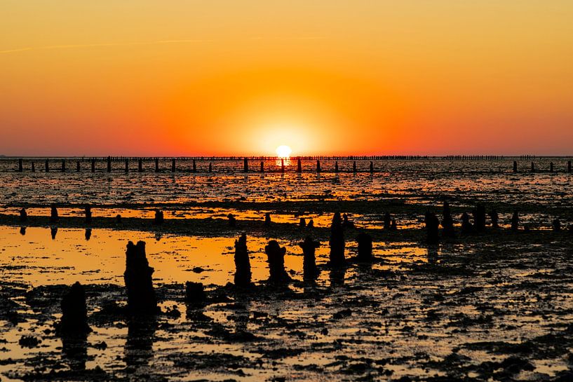 Wadden Sea, sunrise at Paesens Moddergat by Gert Hilbink