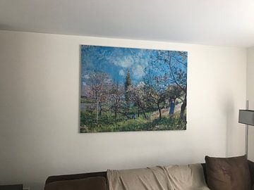 Kundenfoto: Obstgarten im Frühling, Alfred Sisley