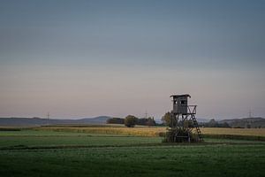 Hochsitz im Abendlicht