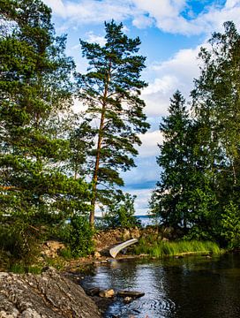 Kano in de natuur | Reisfotografie | Zweden van Sanne van Duijnhoven