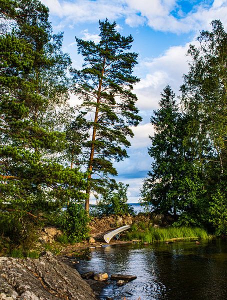 Canoe in nature by Sanne van Duijnhoven