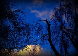 Maan von Francisco de Almeida