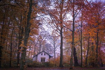 Huisje in de herfst van peterheinspictures