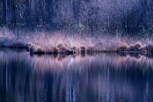 Oisterwijkse Vennen in North Brabant by Nanda Bussers