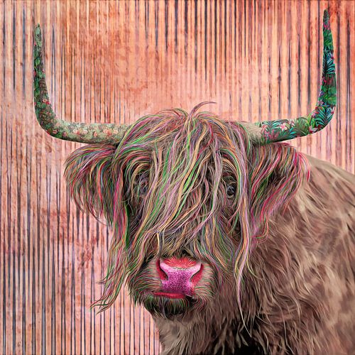 Schotse Hooglander in een vrolijk jasje