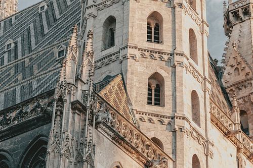 Stephansdom in Wenen