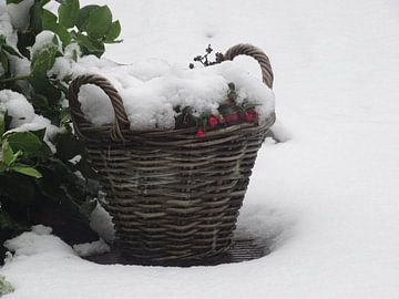 Rieten mand in de sneeuw van Sanne Compeer