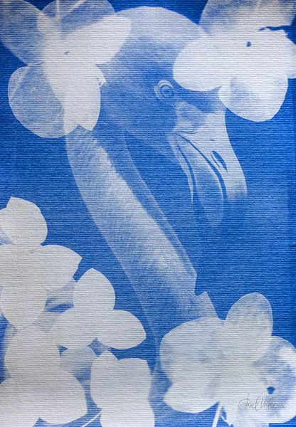 Élégance bleue par Piret Victoria Ribas Art & Photography