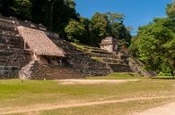 Mexico: Pre-Hispanic City and National Park of Palenque (Palenqu by Maarten Verhees thumbnail