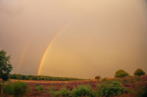 De dubbele regenboog