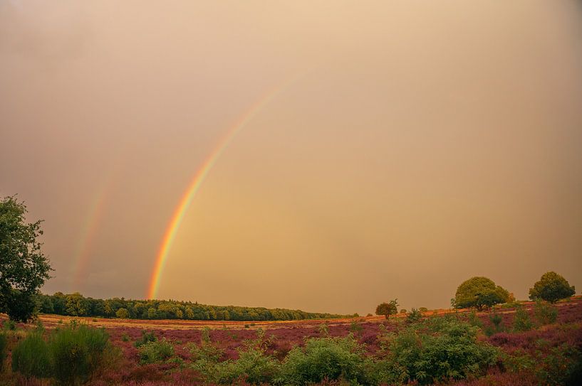 De dubbele regenboog by Lisa Jansen