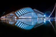 Ciudad de las Artes y las Ciencias, Valencia, bij nacht par Maerten Prins Aperçu