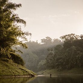 Sunrise in the jungle Khao-Sok Thailand by Wianda Bongen