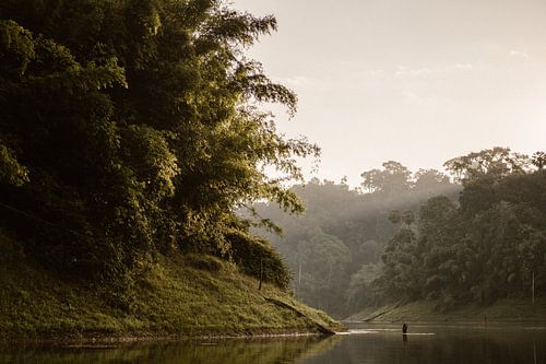 Zonsopgang in de  jungle  Khao-Sok Thailand