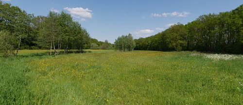 Hooilanden in Het Oude Diep.