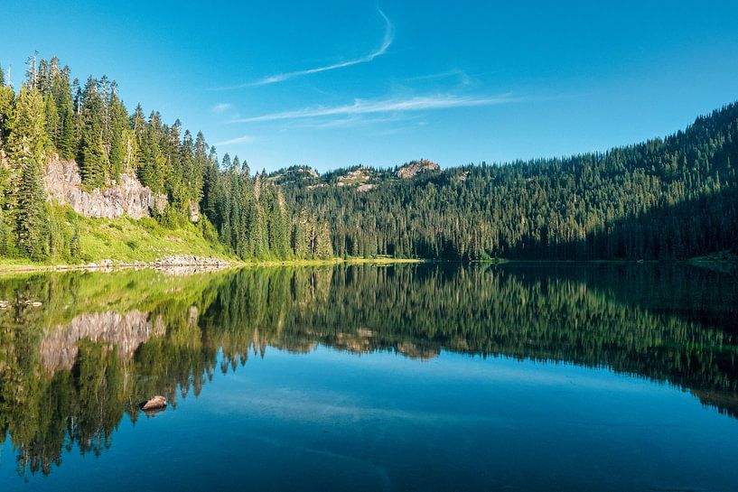 Spiegelung eines Waldes auf einem See mit perfekter Symmetrie von Marc van den Elzen