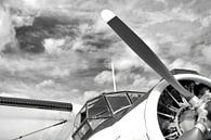 Antonov AN-2 in Zwart Wit van Jan Brons thumbnail
