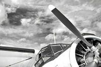 Antonov AN-2 in Zwart Wit